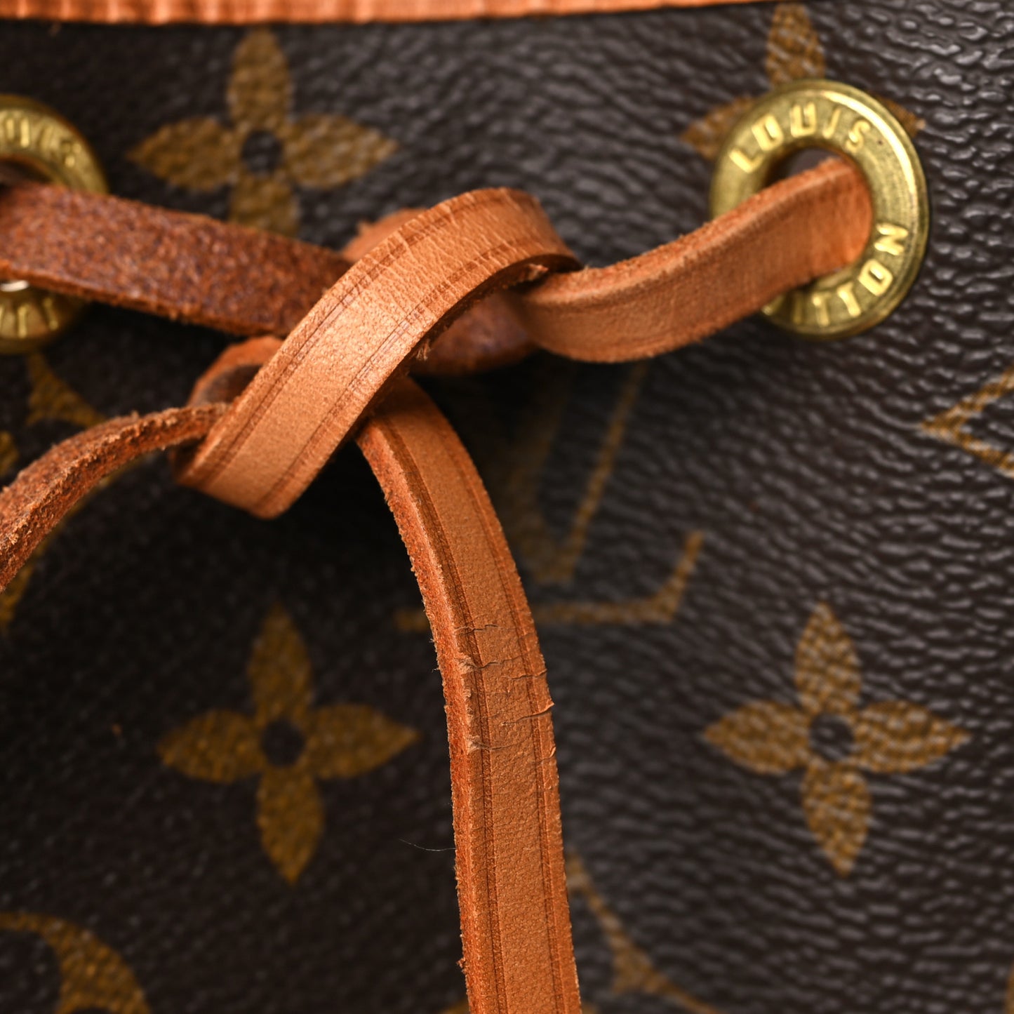 Monogram Petit Noe