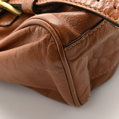 Mulberry Soft Buffalo Mini Alexa Oak 8 of 9
