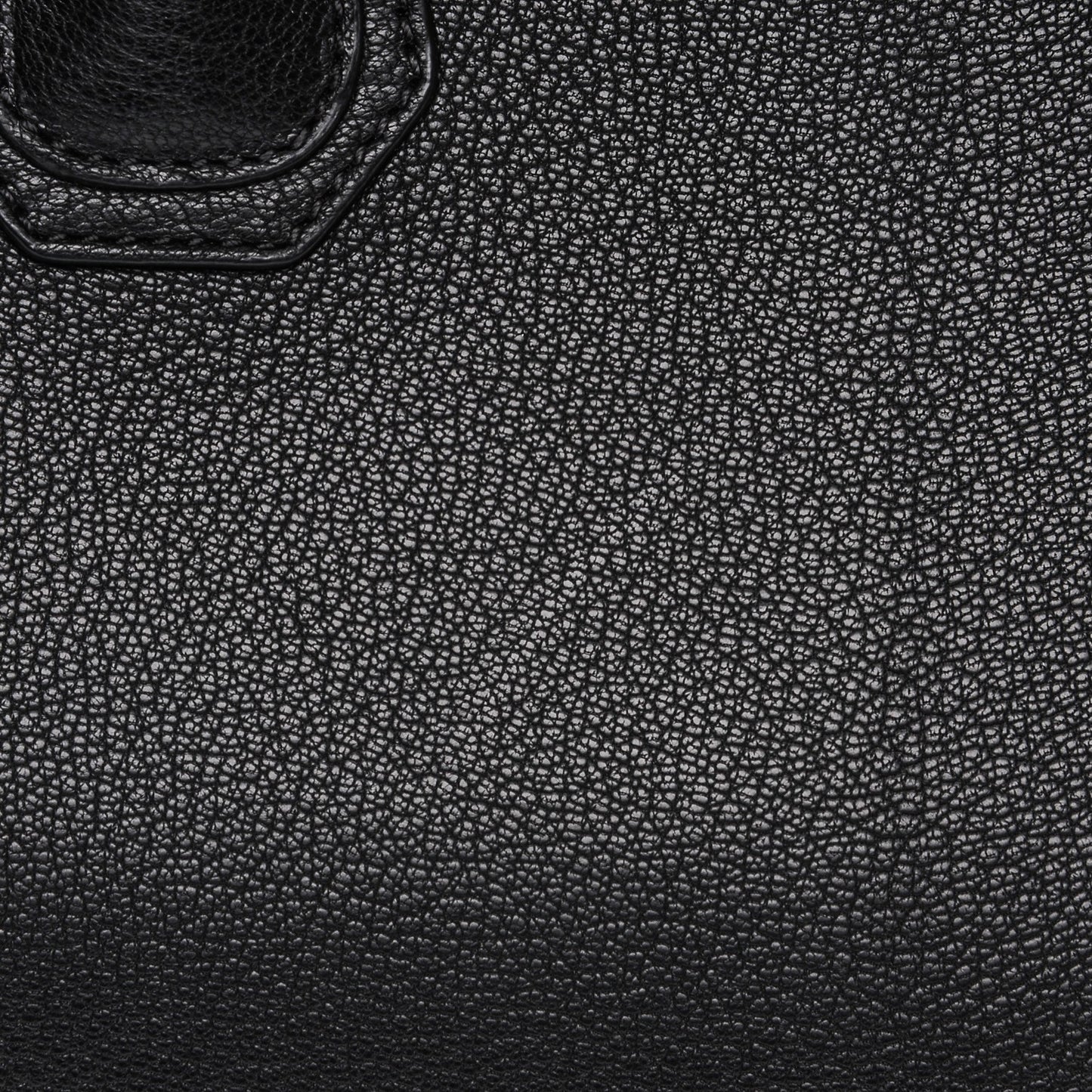 Sugar Goatskin Medium Antigona Black