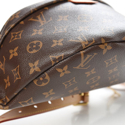 Louis Vuitton Monogram Bumbag 7 of 9