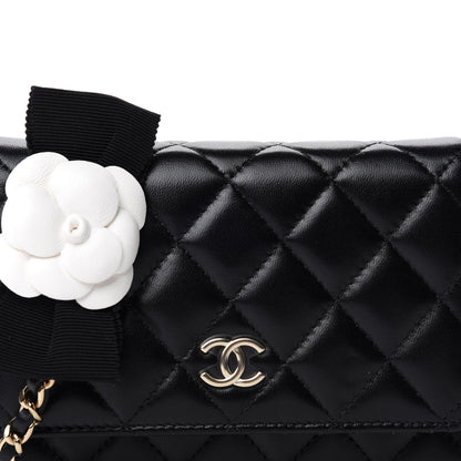 Chanel Lambskin Quilted Mini Camellia Bow Wallet On Chain WOC Black 10 of 11