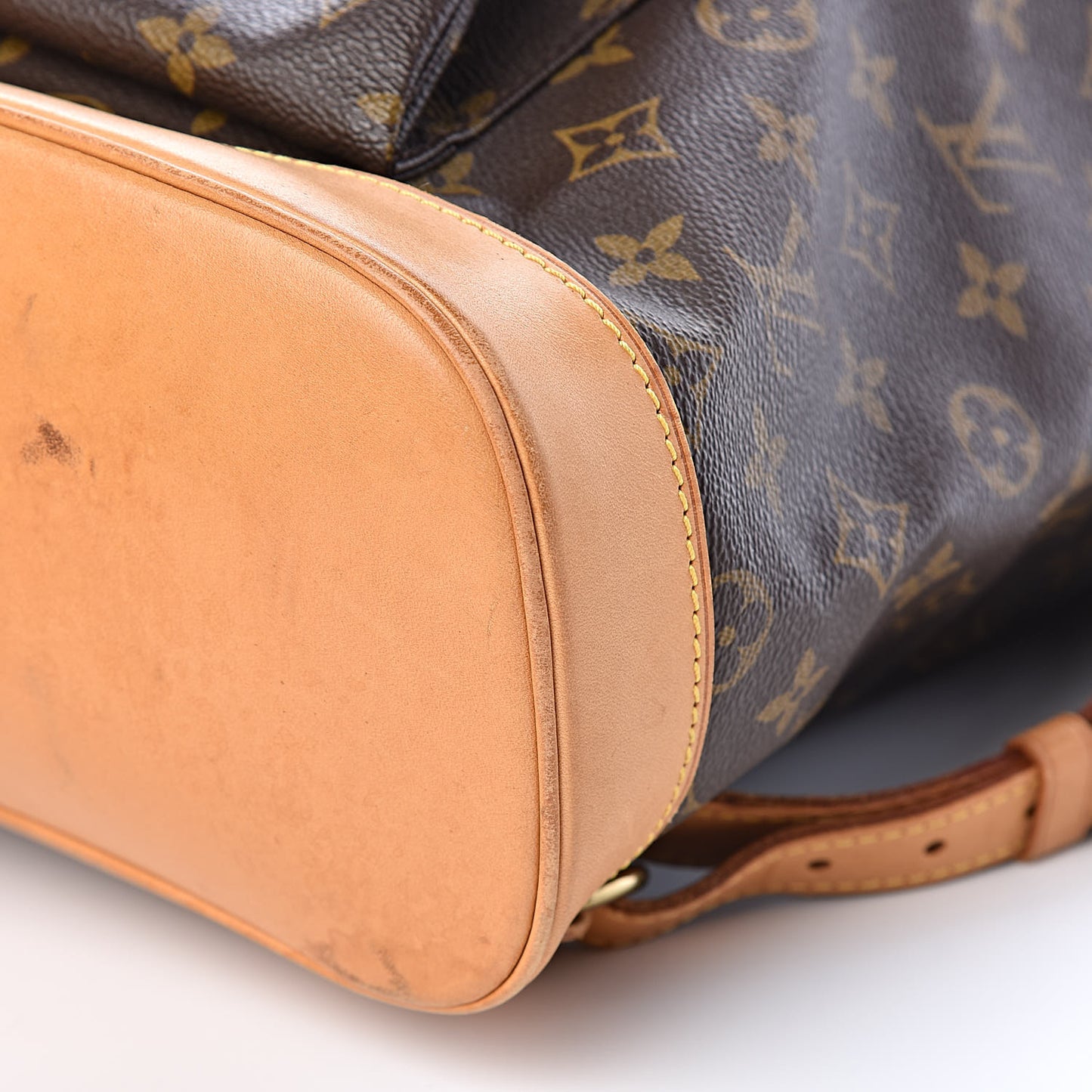 Monogram Montsouris GM Backpack
