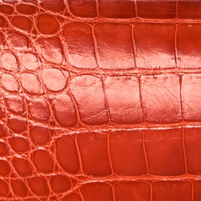 swatch of Hermes sanguine in shiny alligator FASHIONPHILE