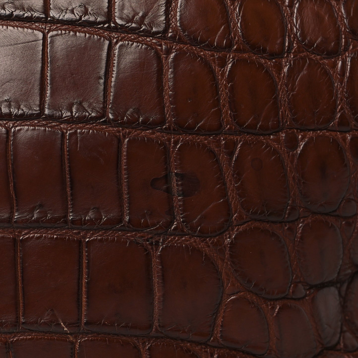 Crocodile Large Peekaboo Iconic Satchel Brown