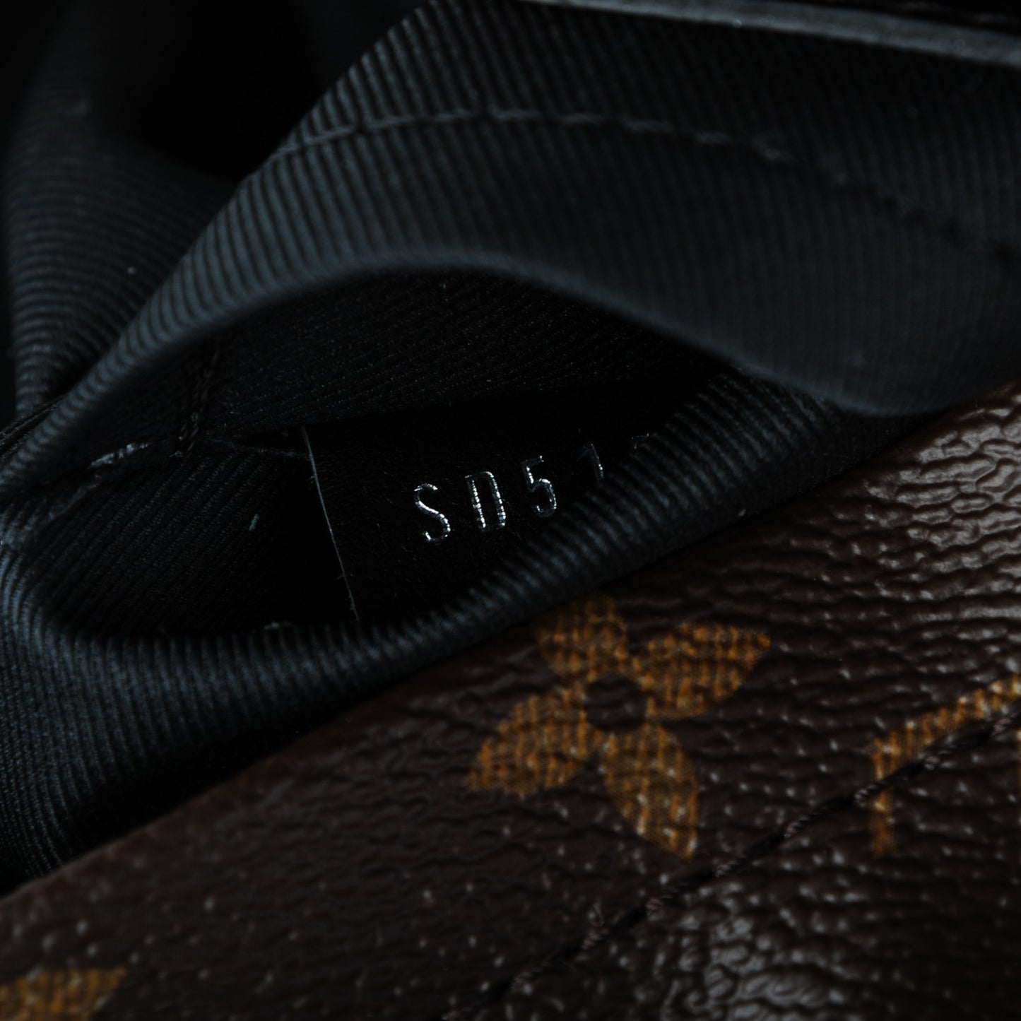 Monogram Palm Springs Backpack Mini