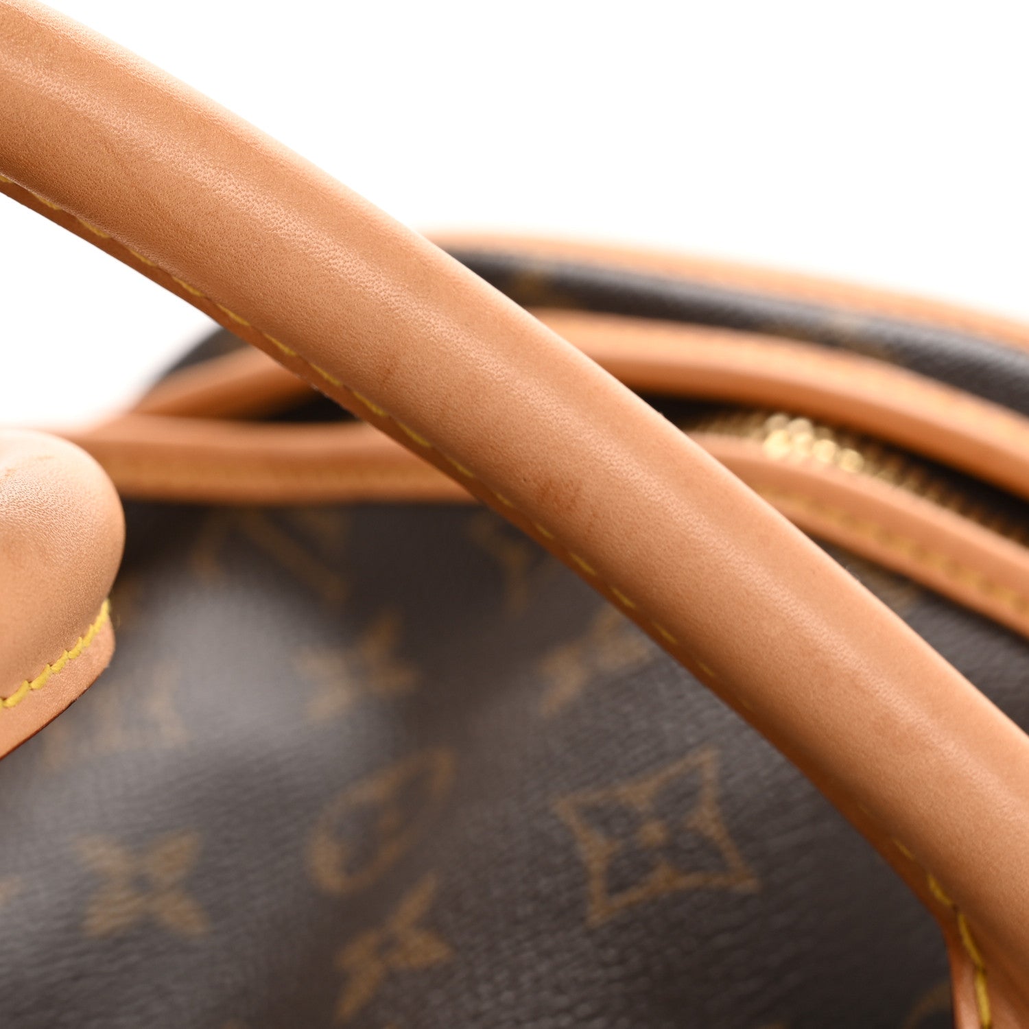 Louis Vuitton Monogram Dog Carrier 40 13 of 18