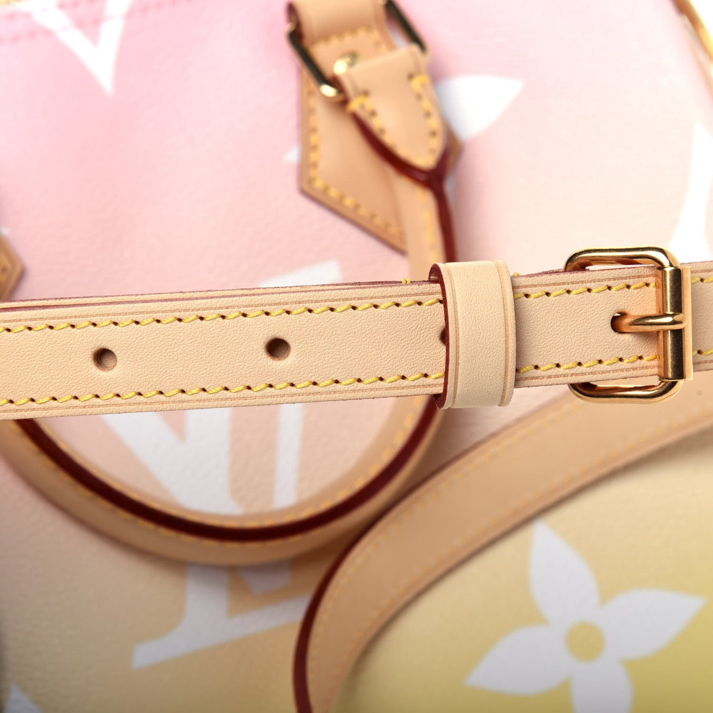 Monogram Giant By The Pool Speedy Bandouliere 25 Light Pink