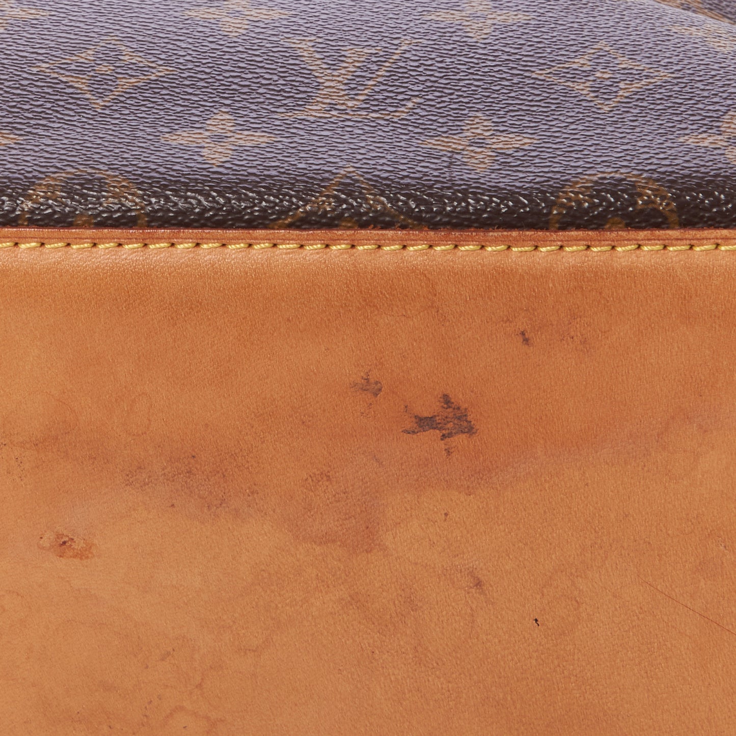 Monogram Cabas Mezzo