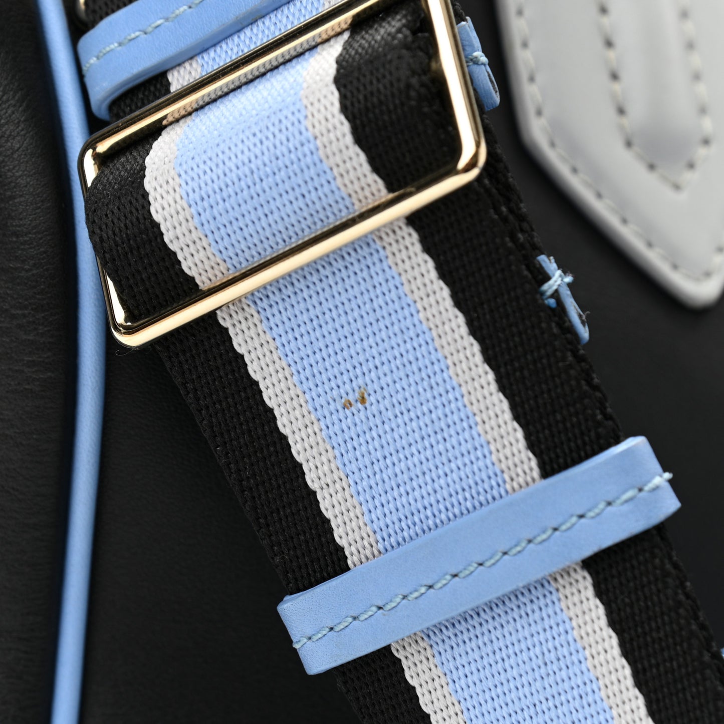 Calfskin Large Palazzo Empire Bag Blue Multicolor