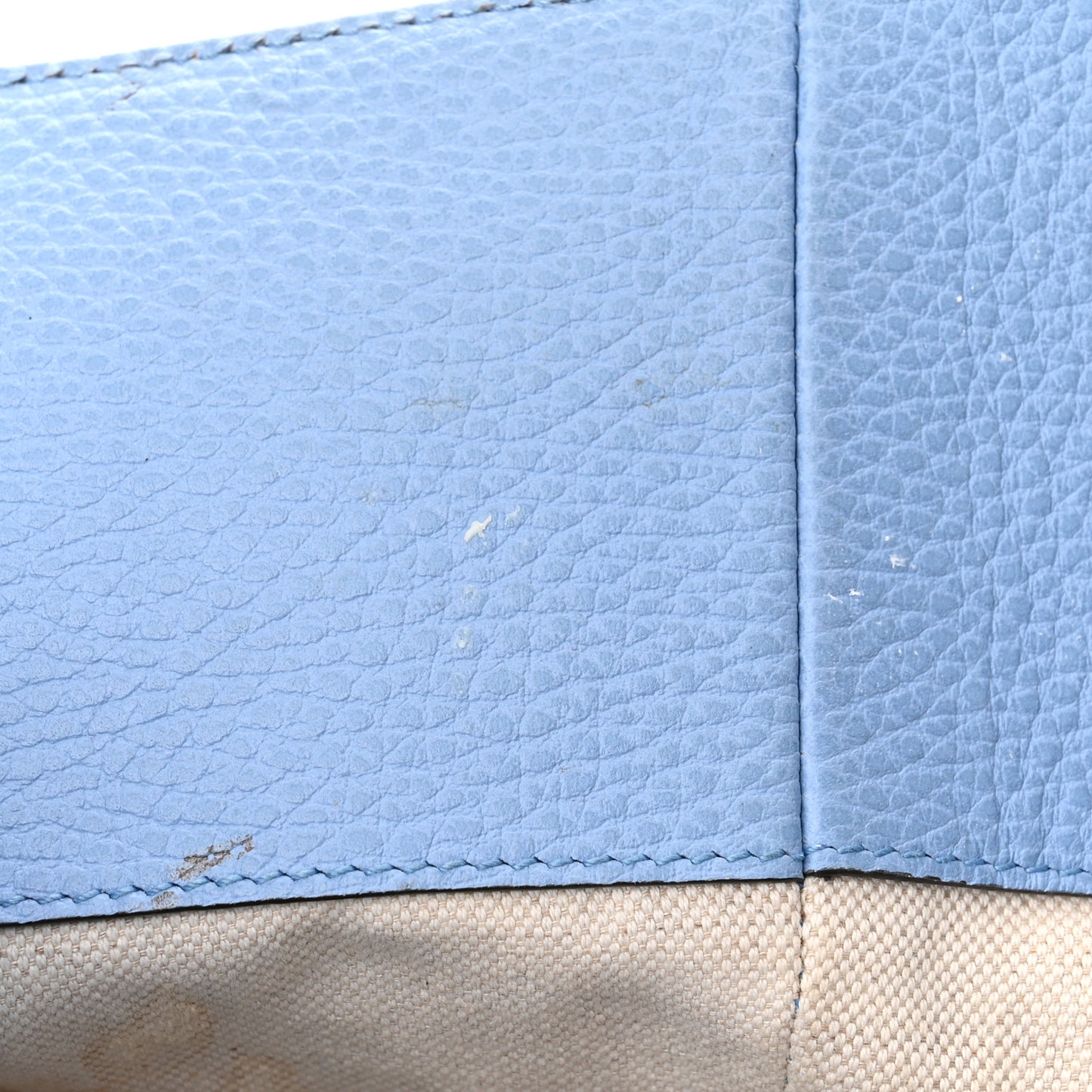 Dollar Calfskin Medium Swing Tote Camelia Mineral Blue