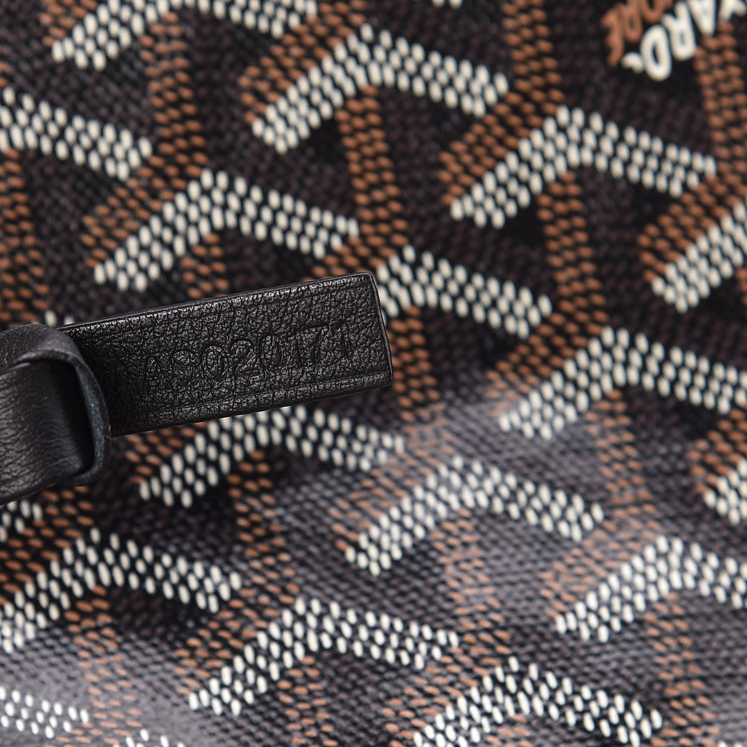 Goyard Goyardine Saint Louis PM Black 9 of 10