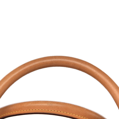Louis Vuitton Monogram Sac Chien 40 Pet Carrier 13 of 20