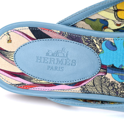 Hermes Calfskin Oz Mules 36 Ciel 7 of 16