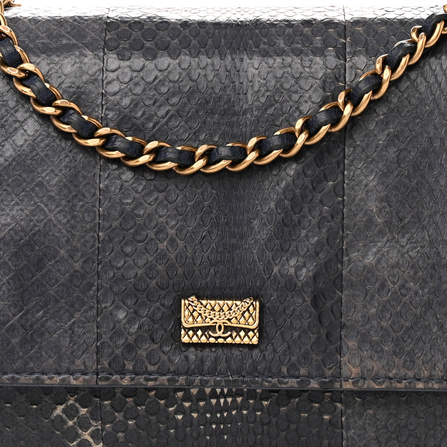 Chanel Snakeskin Wallet On Chain WOC Blue 9 of 17
