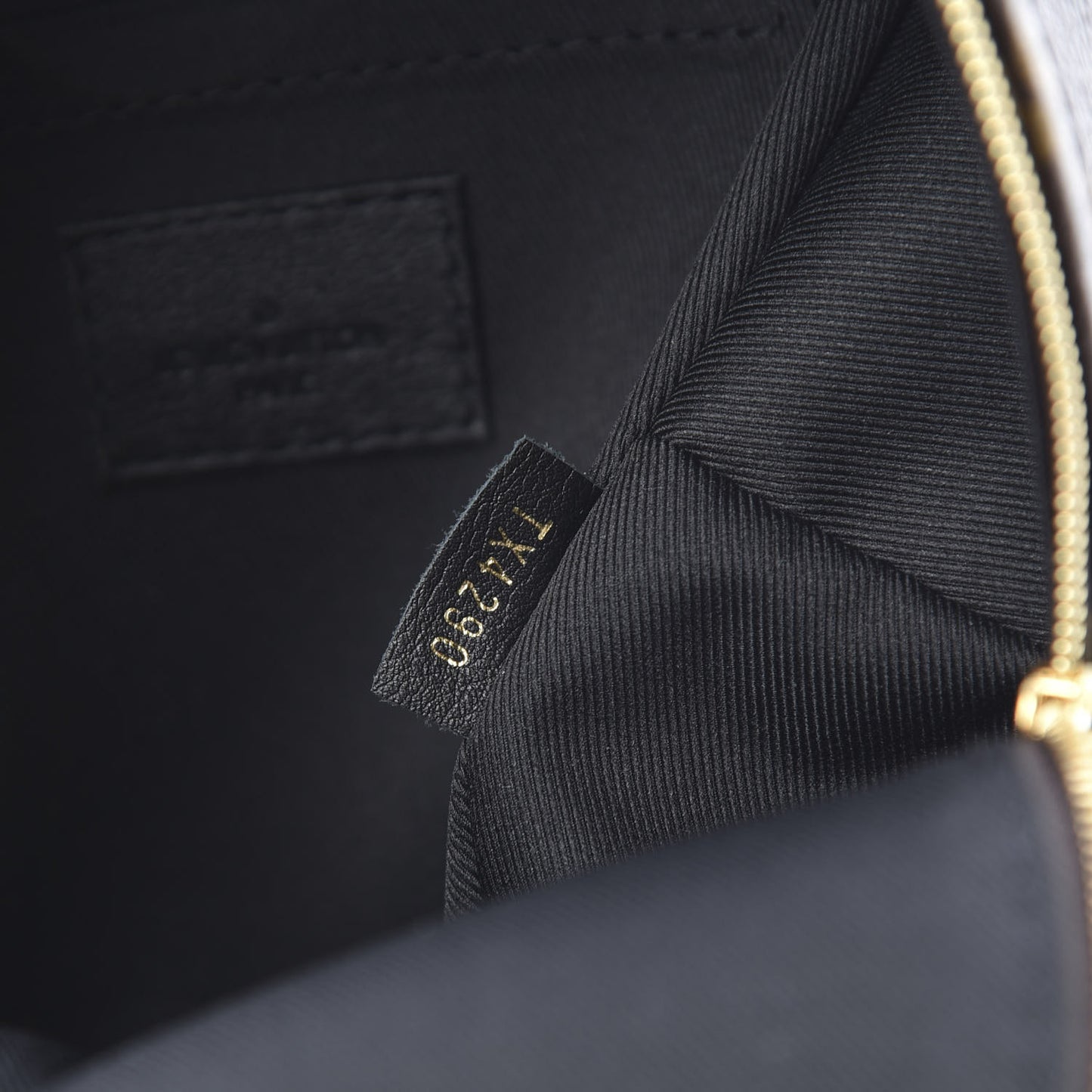 Monogram Palm Springs Backpack Mini