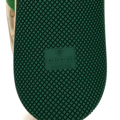 Gucci GG Monogram Nubuck Web Womens Screener Sneakers 39 New Sand Dusty Milk Vintage Green 6 of 9