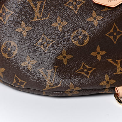 Louis Vuitton Monogram Bumbag 7 of 10