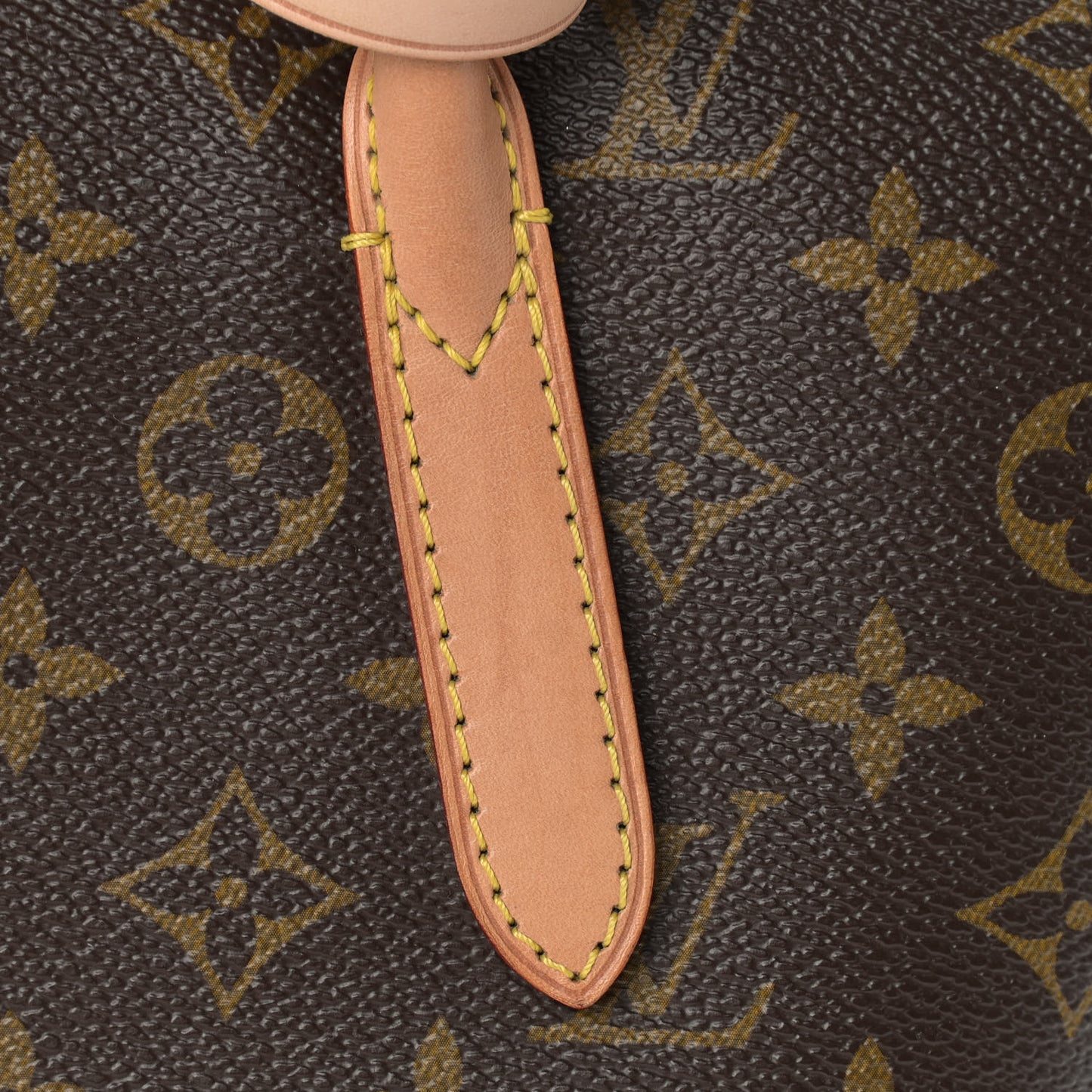 Monogram Raspail PM