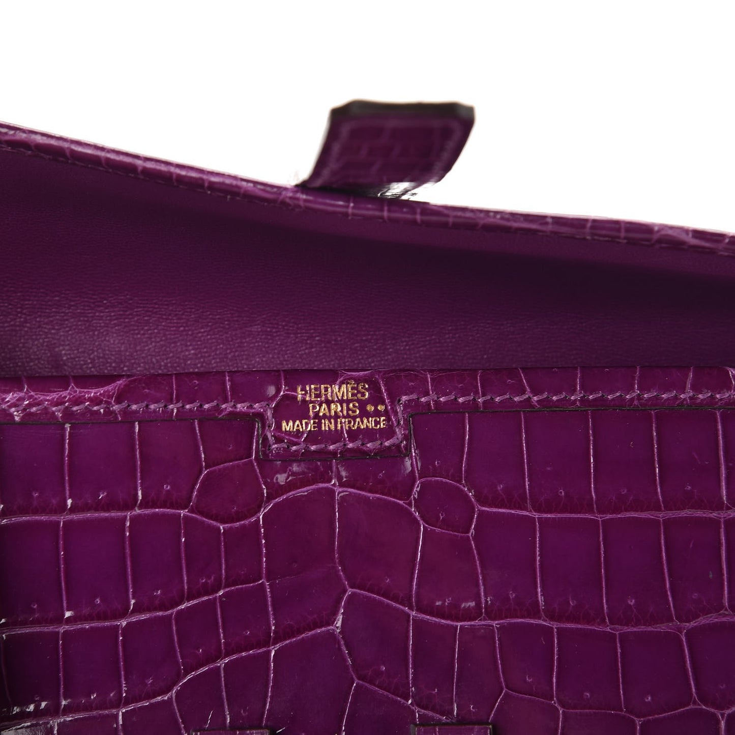 Shiny Niloticus Crocodile Mini Jige Elan Clutch Violet