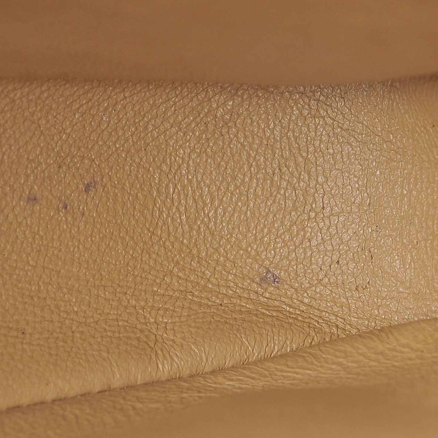 Lambskin Camera Case Beige Clair