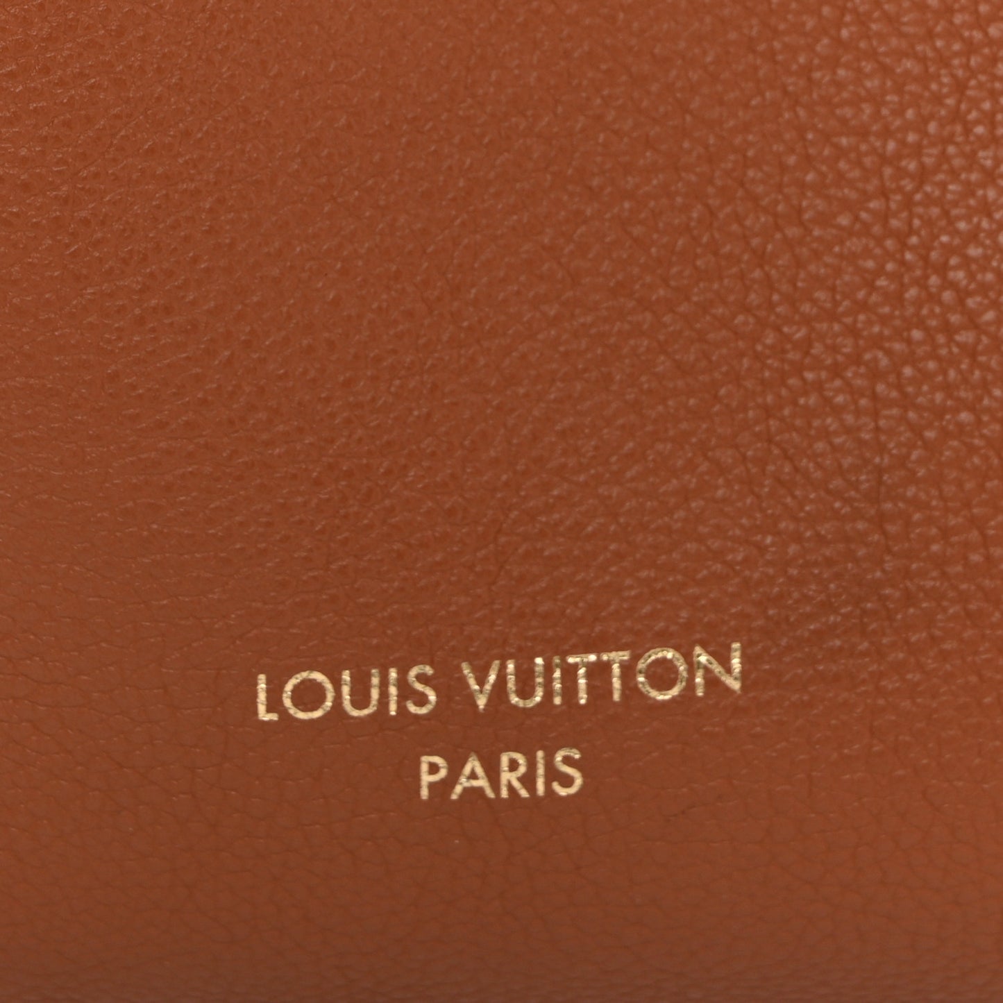 Grained Calfskin Low Key Hobo PM Cognac
