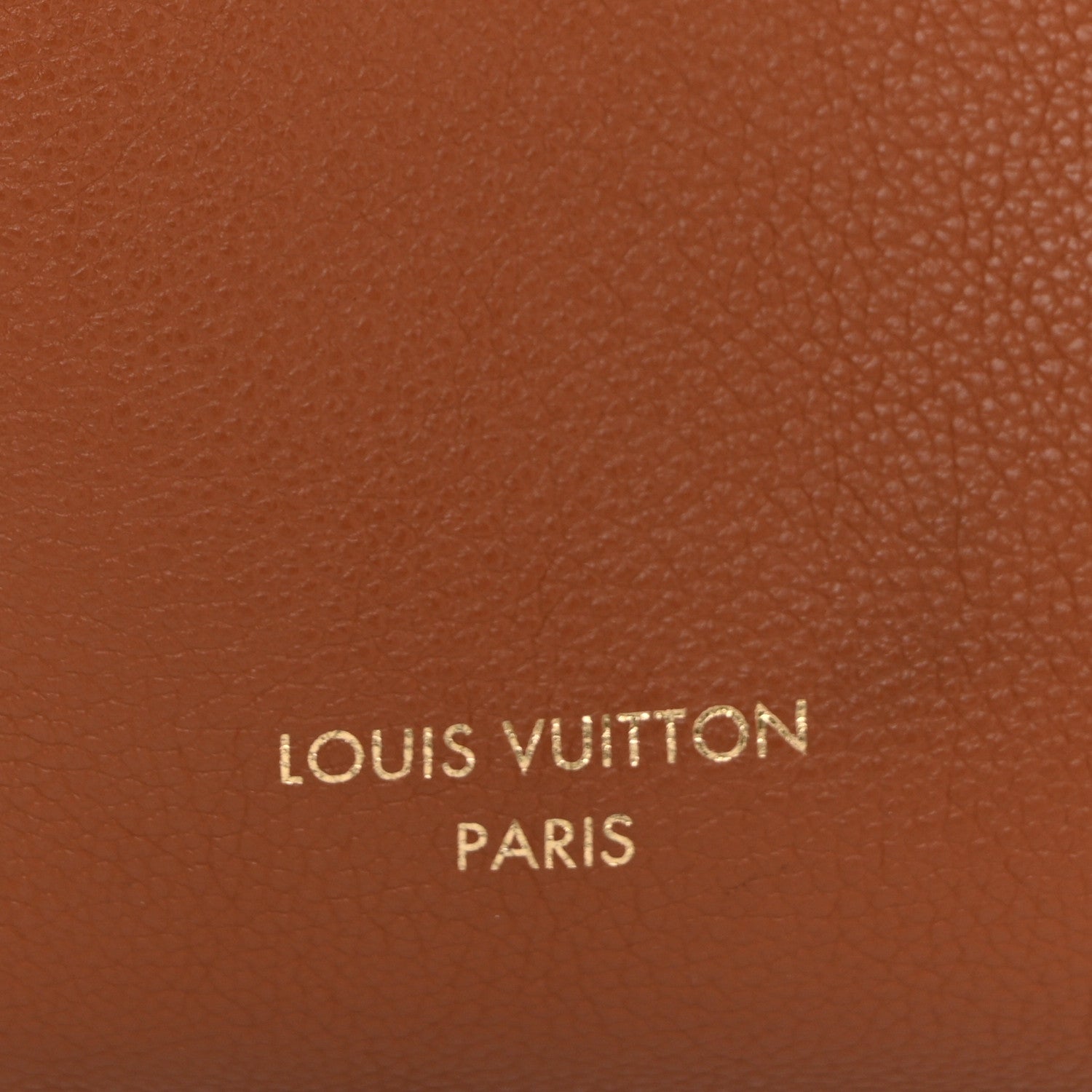 Louis Vuitton Grained Calfskin Low Key Hobo PM Cognac 8 of 10