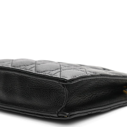 Christian Dior Calfskin Cannage Caro Zipped Pouch With Chain Black 9 of 10