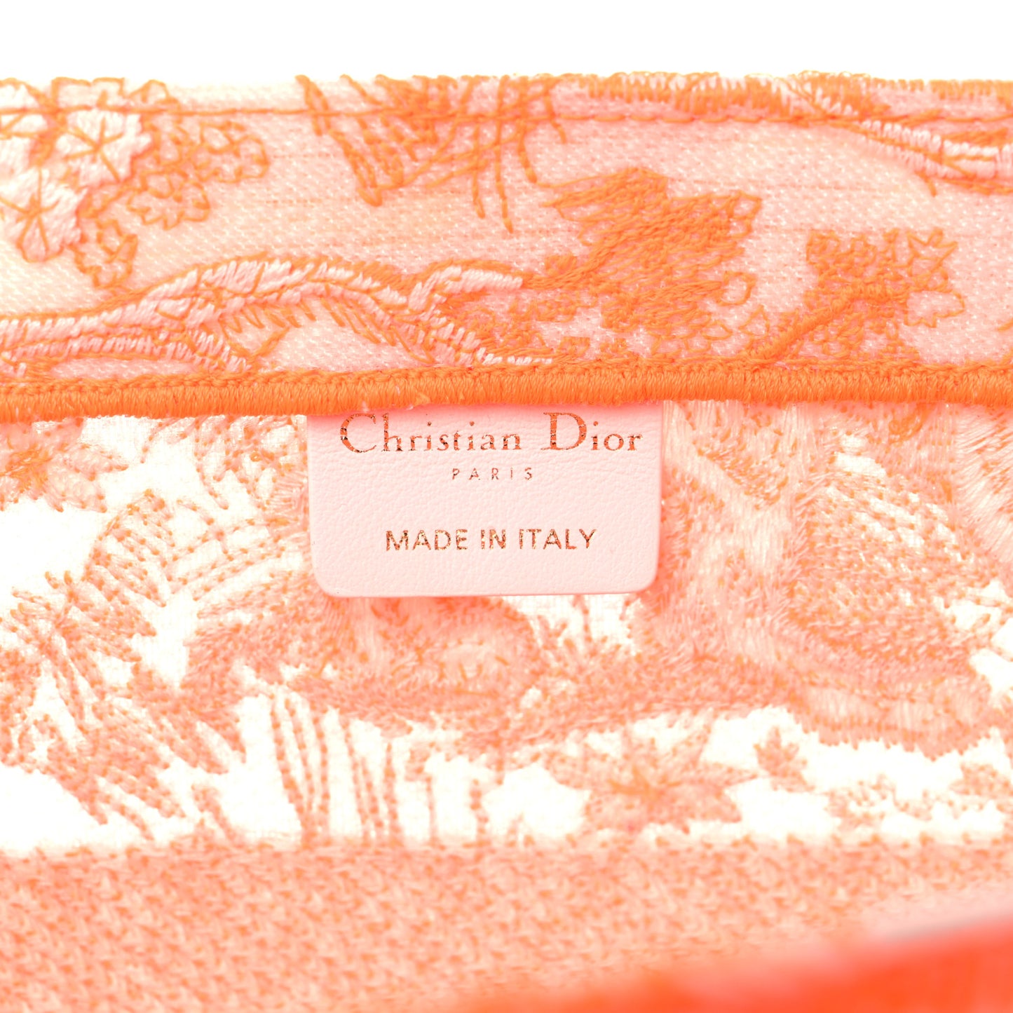 Transparent Canvas Embroidered Medium Dioriviera Toile De Jouy Book Tote