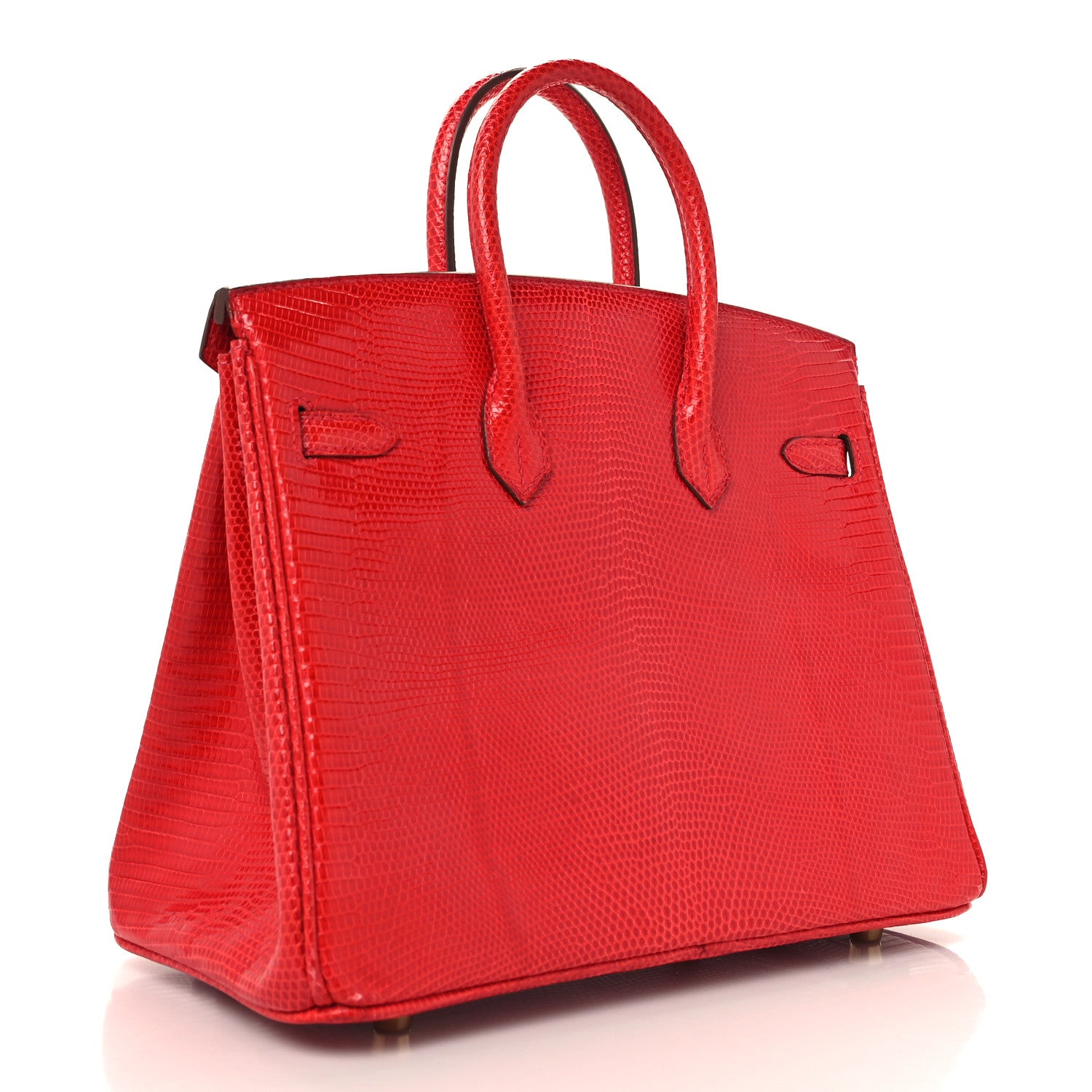 Hermes Lizard Birkin 25 Rouge Moyen 3 of 16