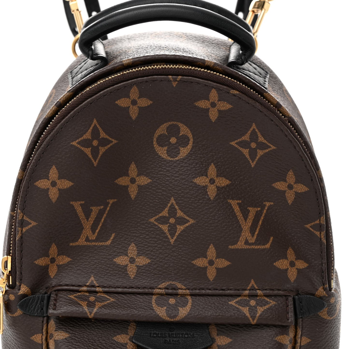 Monogram Palm Springs Backpack Mini