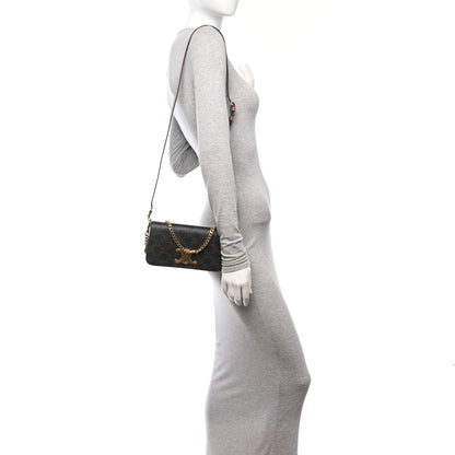 Celine Triomphe Canvas Multipochette Tan 2 of 10
