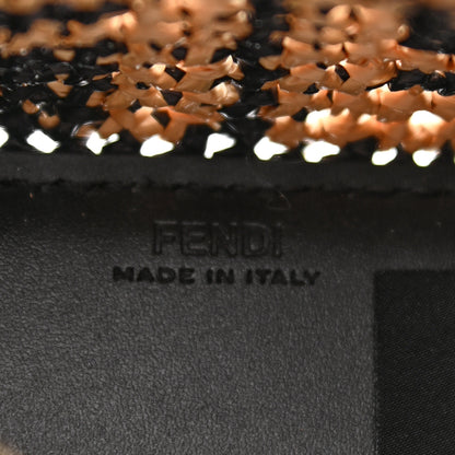 Fendi Raffia Plexiglass Crochet Mini Sunshine Shopper Tote Black 6 of 8