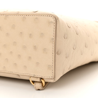 Loro Piana Ostrich L23.5 Extra Pocket Backpack Inca Stone 9 of 9