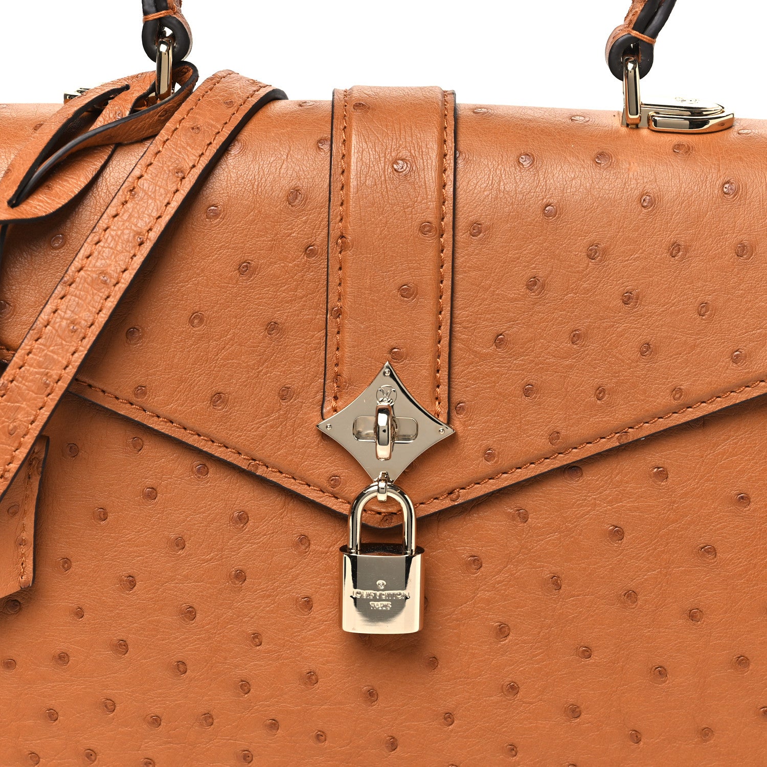 Louis Vuitton Ostrich Rose Des Vents PM Cognac 8 of 11