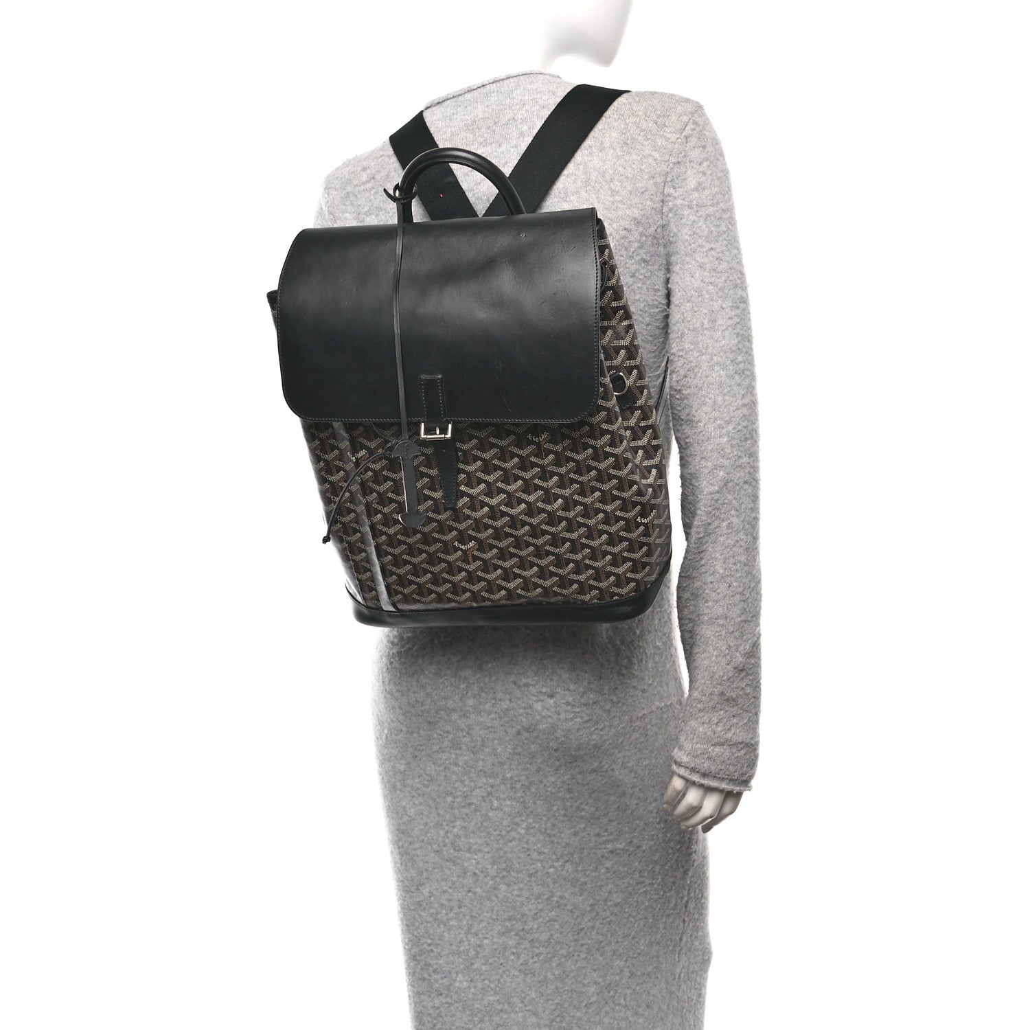 Goyard Goyardine Calfskin Alpin MM Backpack Black 2 of 9