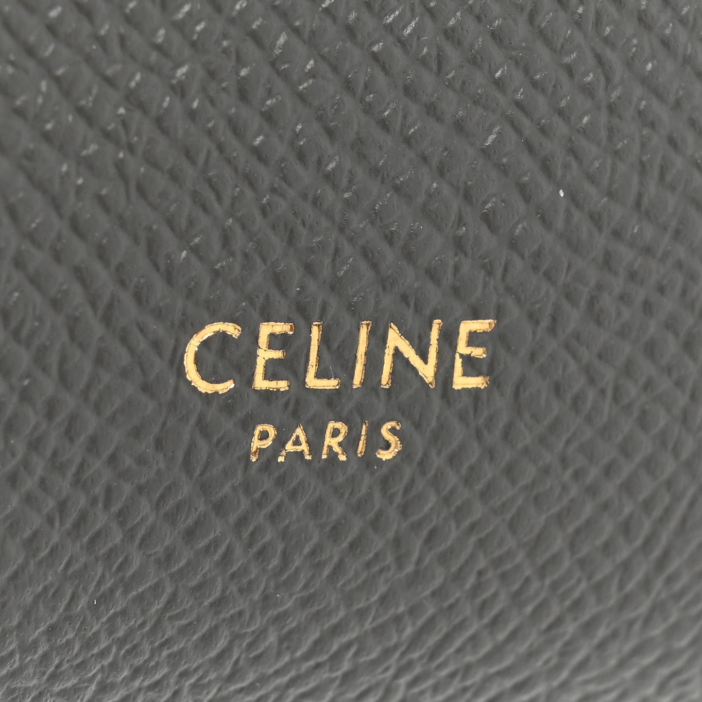 Grained Calfskin Nano Belt Bag Grey