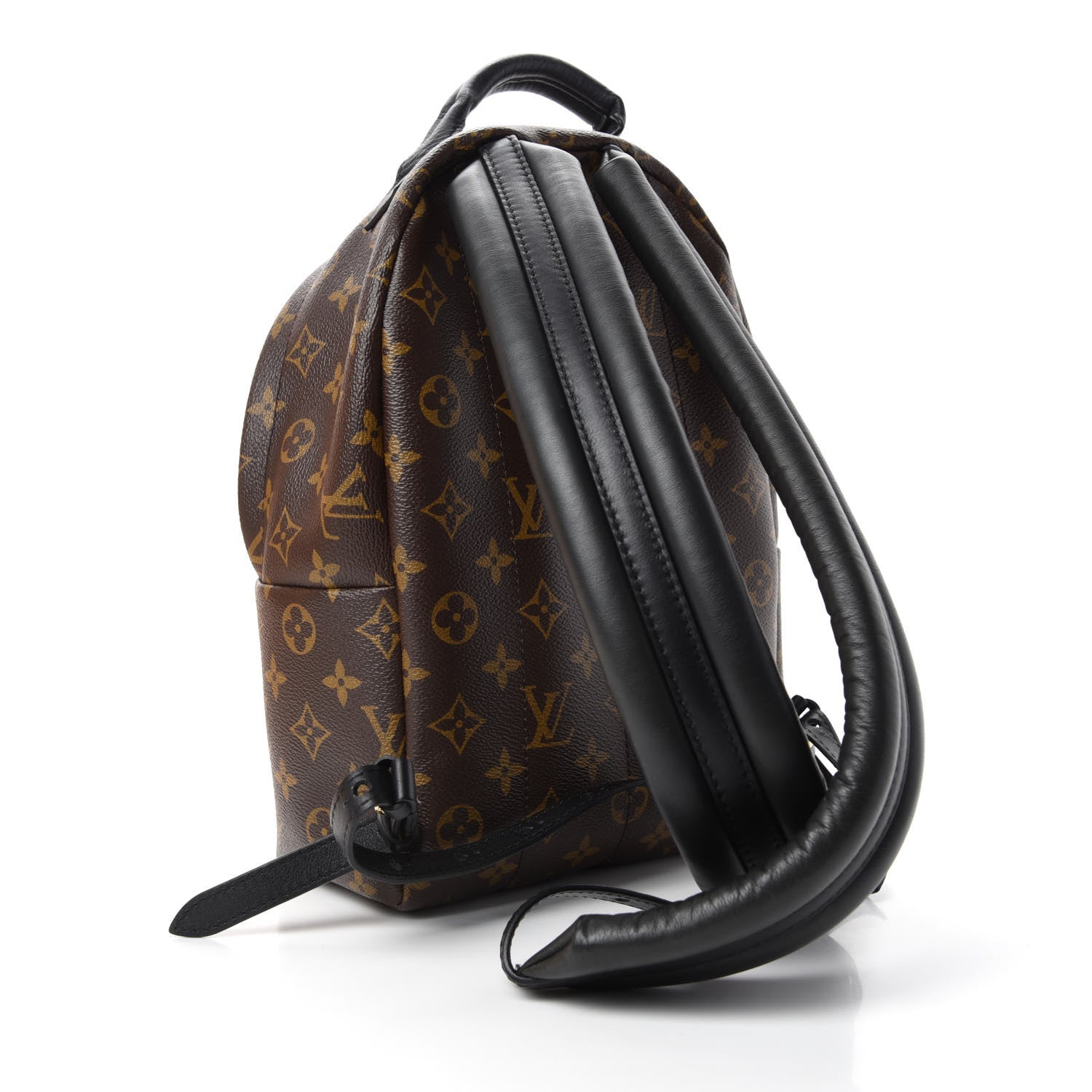 Louis Vuitton Monogram Palm Springs Backpack PM 2 of 10