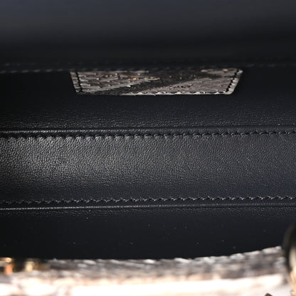 Christian Dior Snakeskin Micro Lady D-Joy Grey 5 of 10