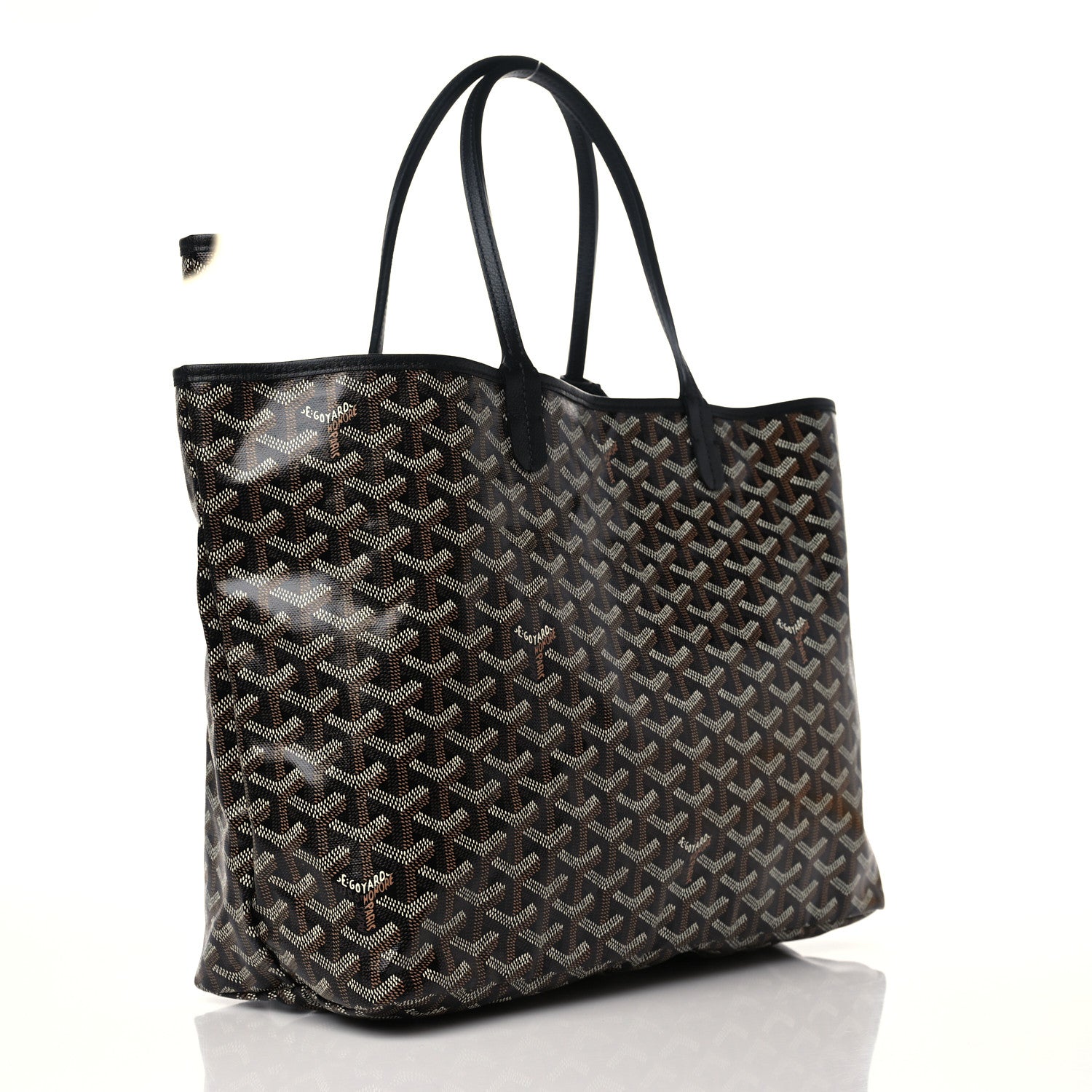 Goyard Goyardine Saint Louis PM Black 4 of 9
