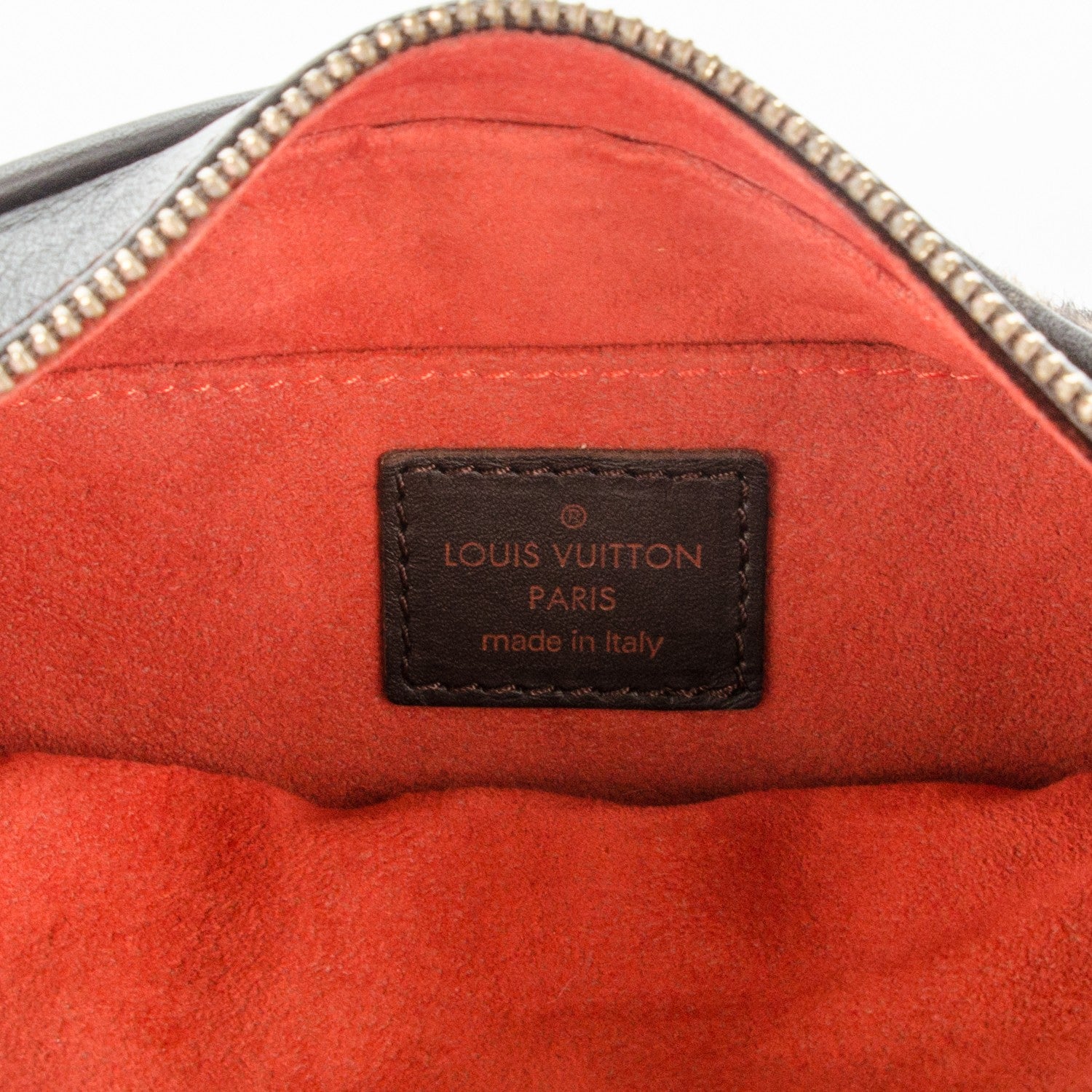 Louis Vuitton Calf Hair Damier Sauvage Tigre 6 of 7