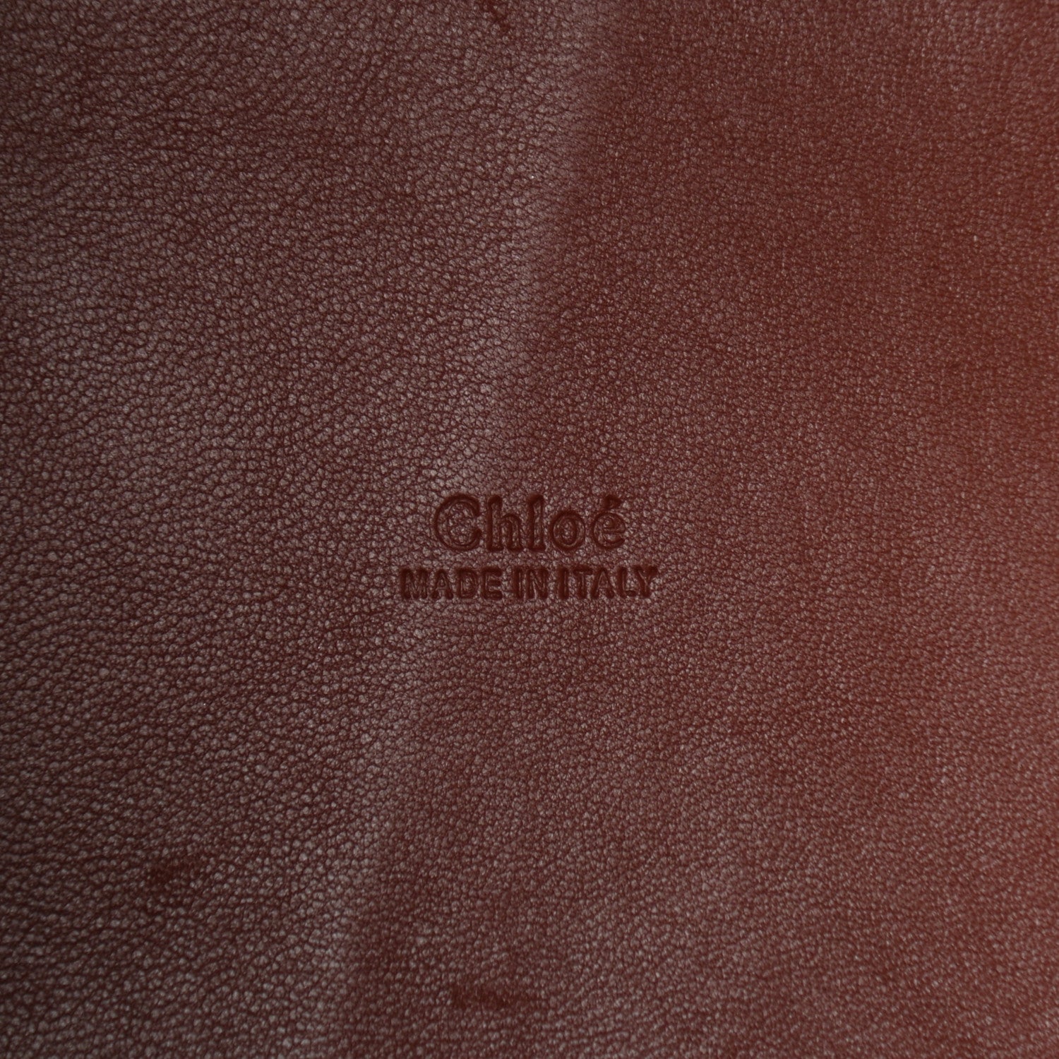 Chloe Smooth Grained Calfskin Small Tulip Bucket Bag Sepia Brown 7 of 13