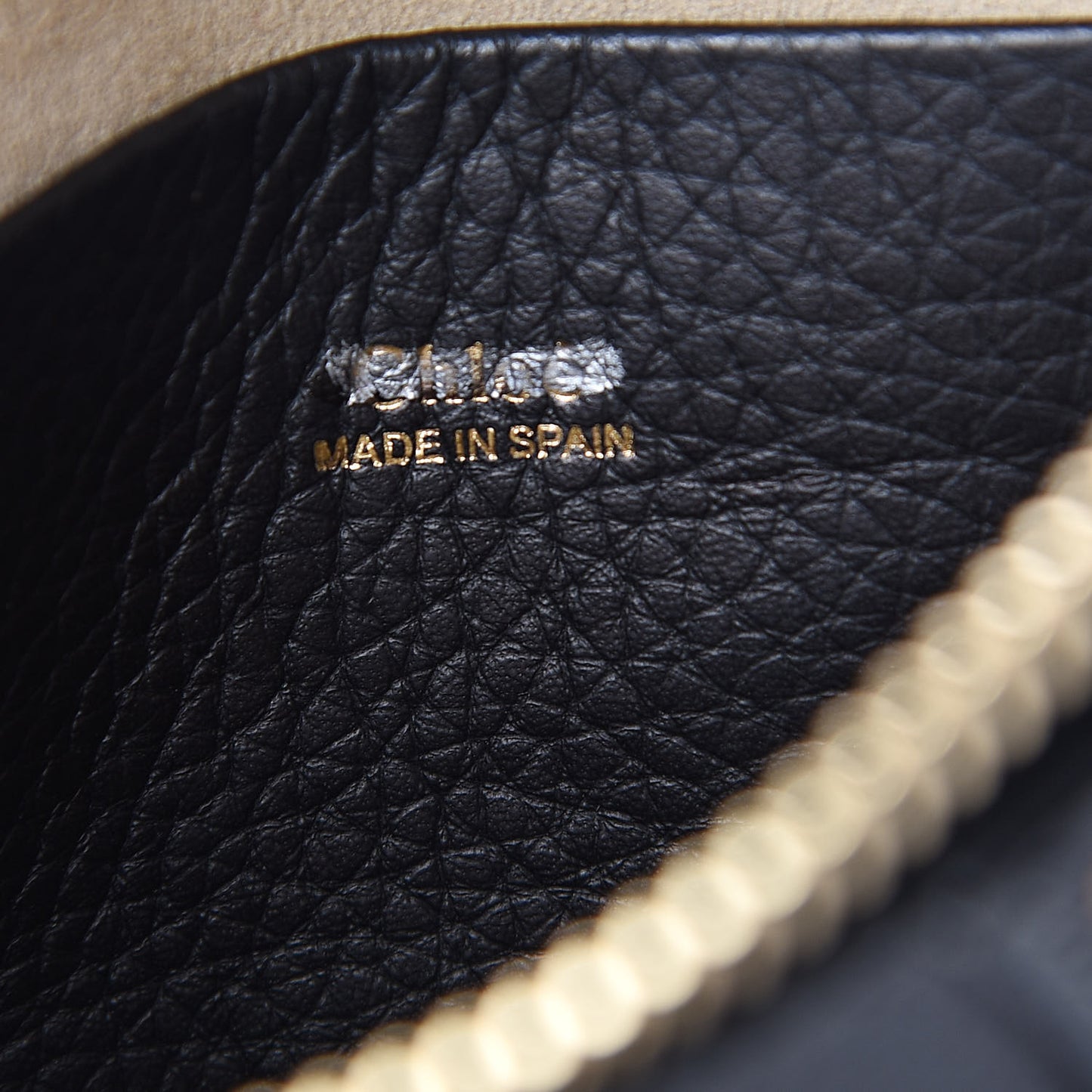 Grained Calfskin Nano Hayley Hobo Black