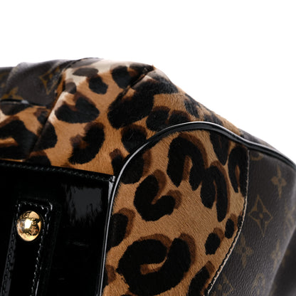Louis Vuitton Monogram Leopard Stephen Bag 8 of 29