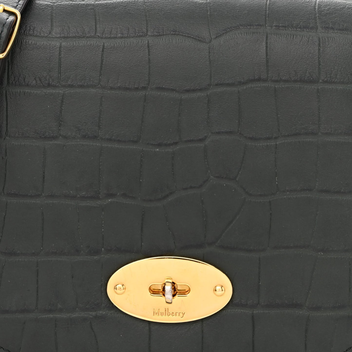 Crocodile Embossed Calfskin Small Darley Satchel Green