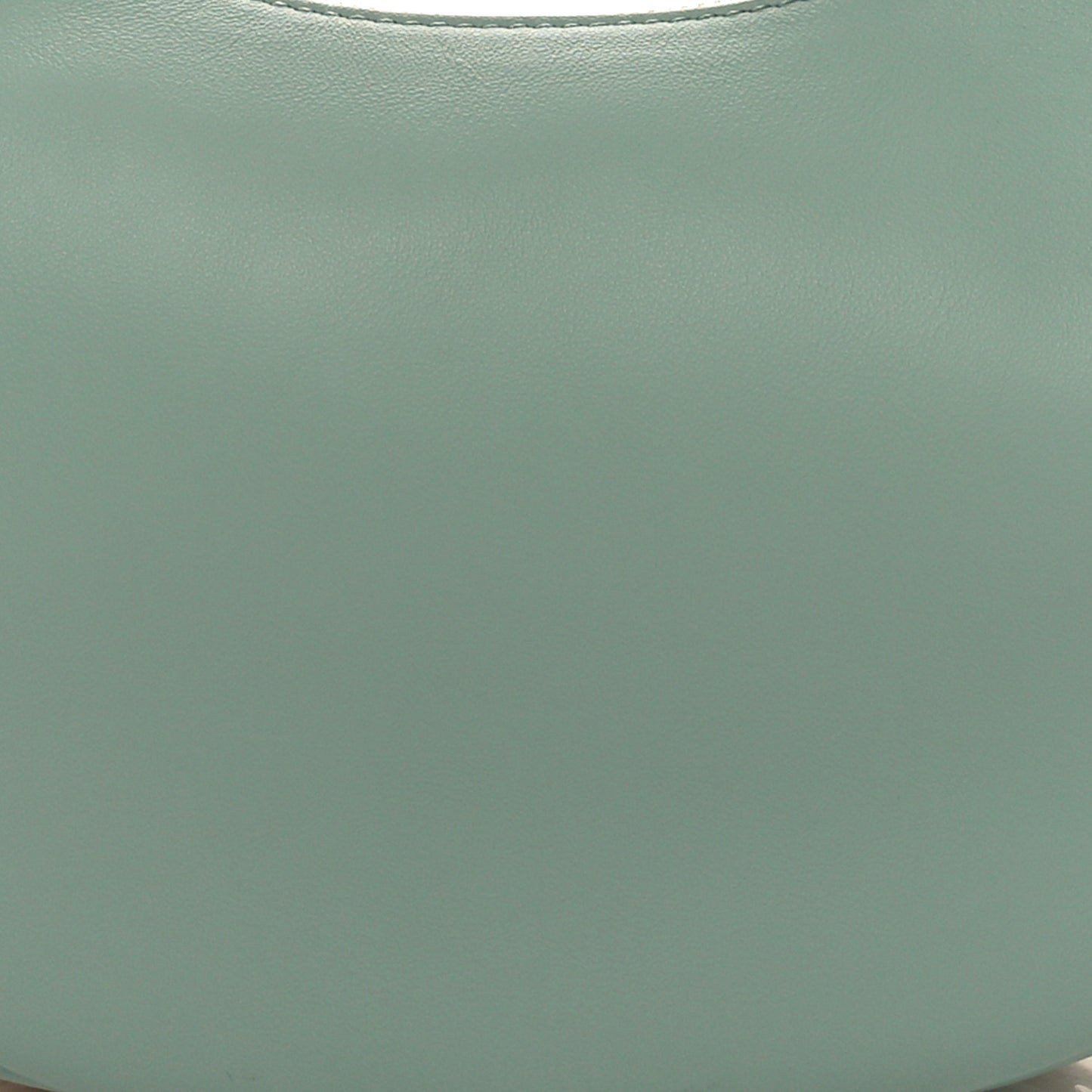 Vitello Grace Matte Small Fendigraphy Hobo Bag Menta