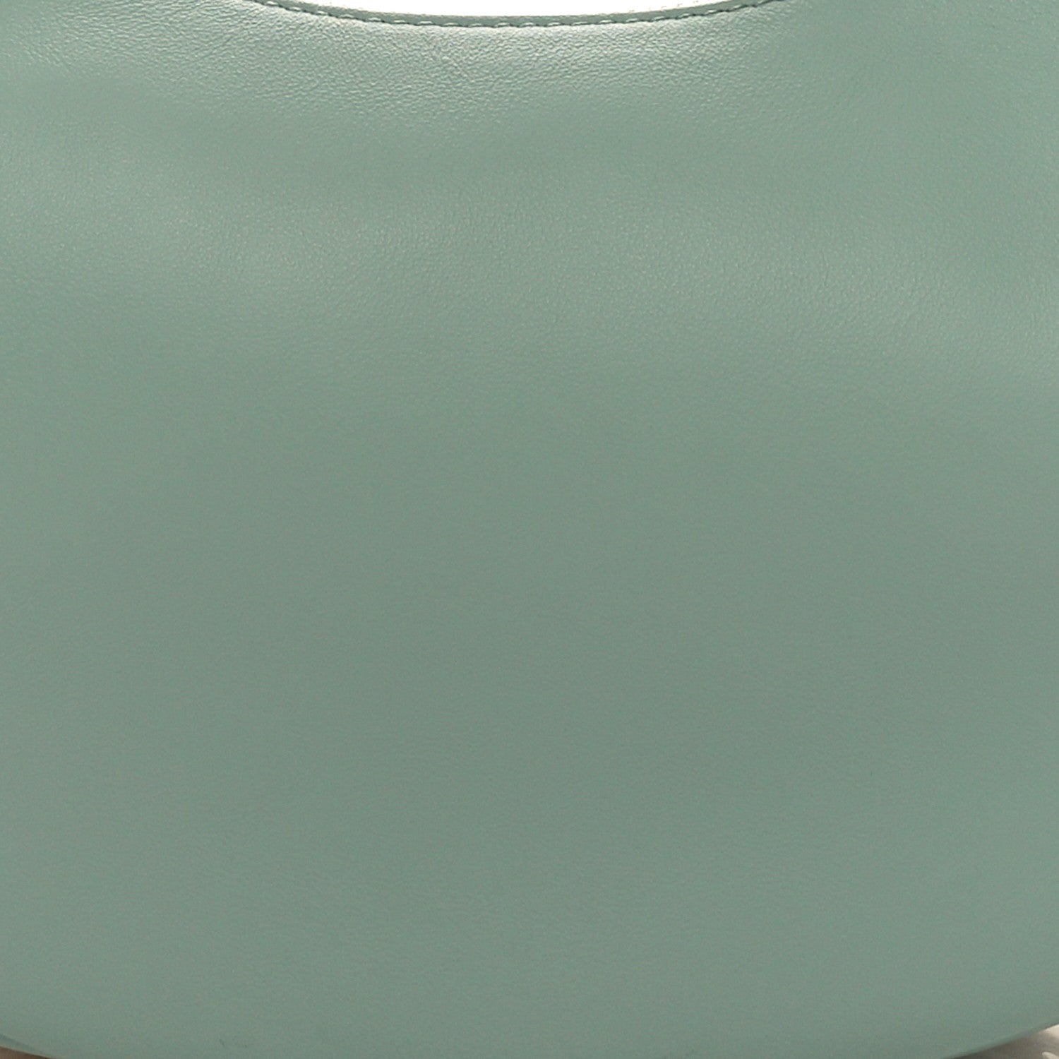 Fendi Vitello Grace Matte Small Fendigraphy Hobo Bag Menta 9 of 11