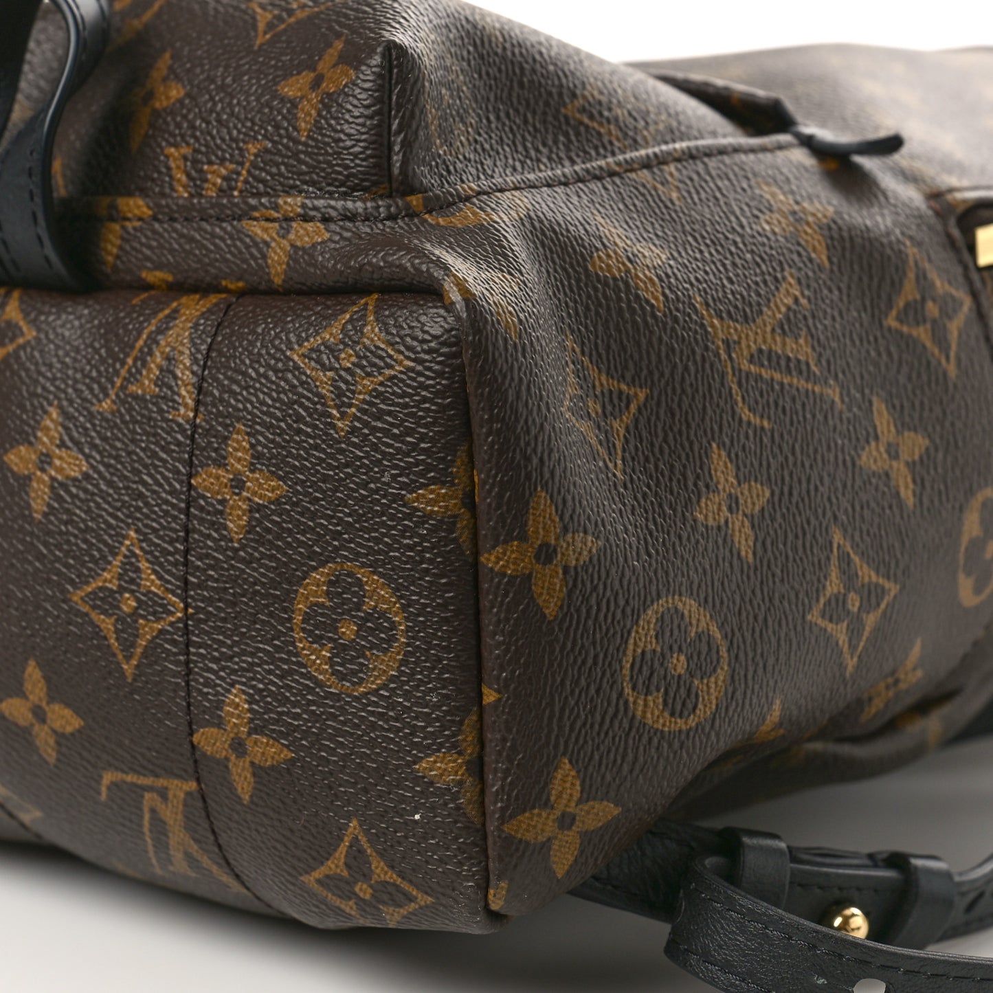 Monogram Palm Springs Backpack PM