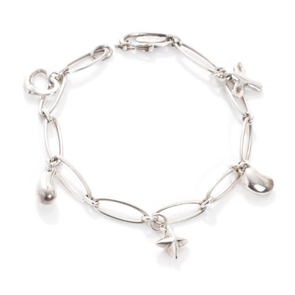 Tiffany Sterling Silver Elsa Peretti Charm Bracelet 1 of 7