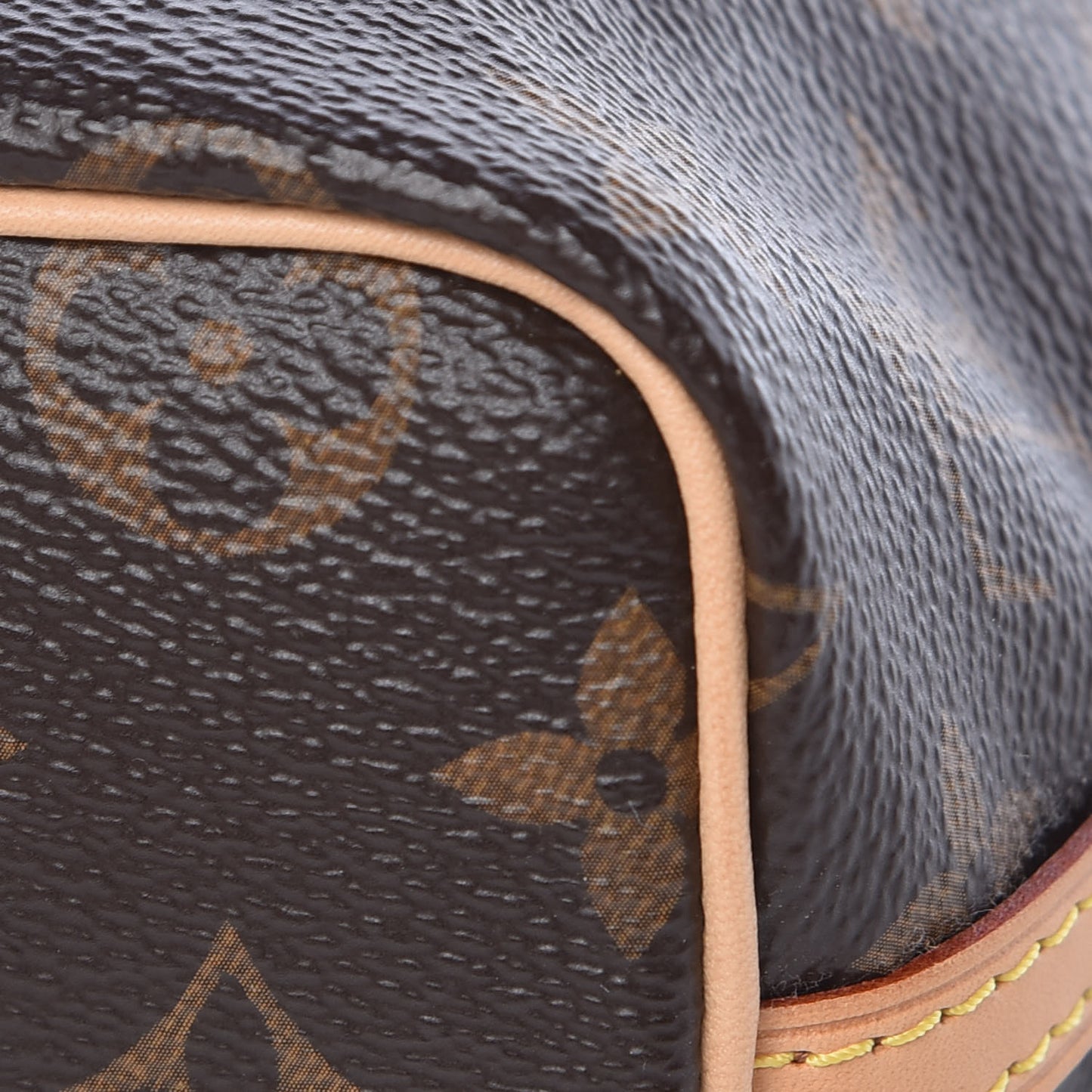 Monogram Nano Noe