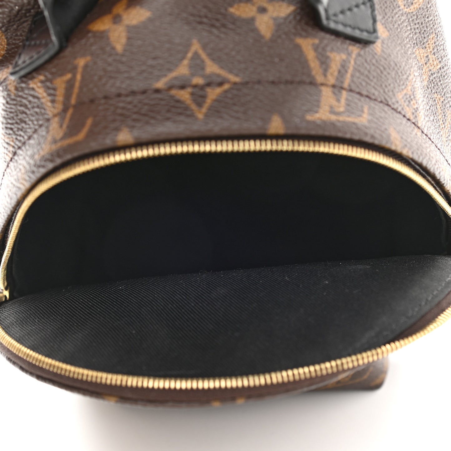 Monogram Palm Springs Backpack Mini